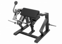Бицепс машина Spirit SP-4513
