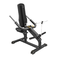 Impulse IFP1706 бицепс / трицепс 2 в 1, профессиональный тренажер